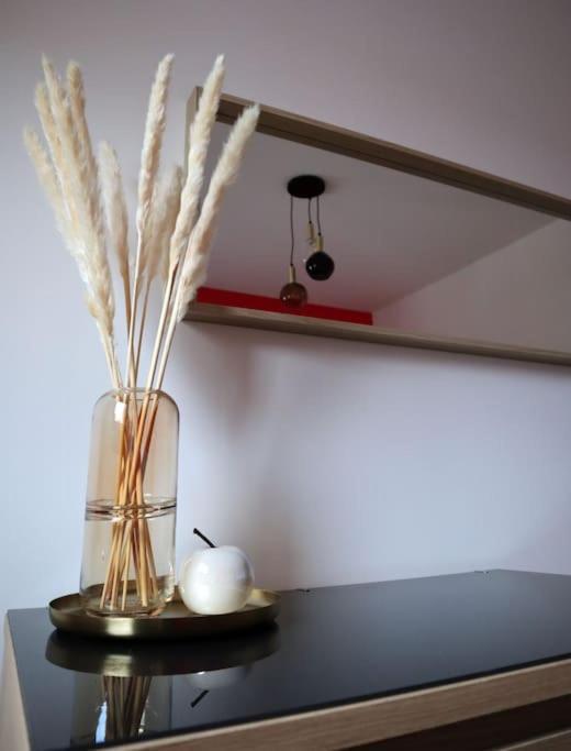 Superbe Duplex En Hypercentre Ville アミアン エクステリア 写真